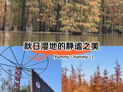 -池杉湖湿地公园