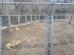 -西安秦岭野生动物园