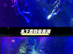 -顺德南宏海立方海洋公园