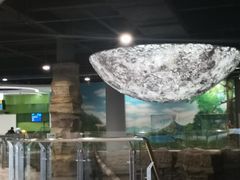 -辽宁古生物博物馆