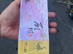 -自然谷恐龙园