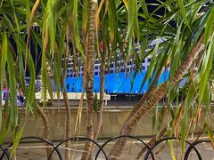 -Paulaner·德国帕拉娜自酿啤酒餐厅(海上世界店)