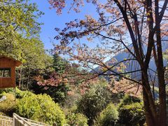 -苍山感通索道