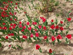 -长春公园(普阳街道)