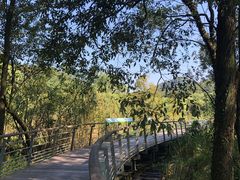 -西湖风景区-江洋畈生态公园