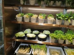 自助取餐区-串一火锅(赛格国际购物中心店)