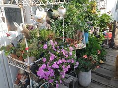 -荒度咖啡(北九水店)