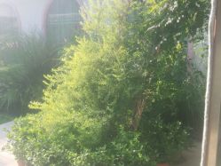 -爱儿美儿童摄影(朝阳公园店)