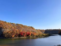 -黄椅山火山森林公园