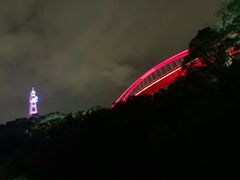 -金鸡山公园