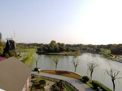 -上海鲜花港