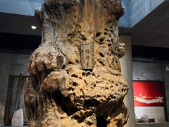 -乐山乌木文化博览苑