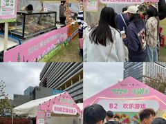 -东莞松山湖万象汇