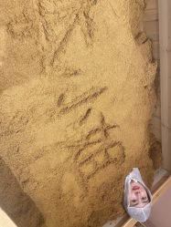 -本小姐美学·半永久纹眉野生眉