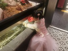 -吴越荣记苏州菜·松鼠桂鱼(月光码头店)