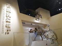 -国家自然博物馆