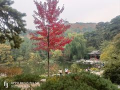 -香山公园