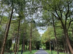 -西溪国家湿地公园