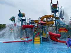 -苏州乐园森林水世界