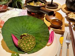 -叶叶菩提(太原别墅店)