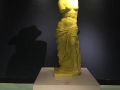 -成都泰迪熊博物馆