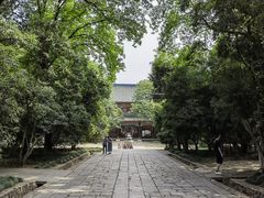 -灵谷景区