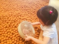 -上海崧泽遗址博物馆