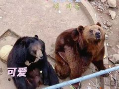 -无锡动物园·太湖欢乐园