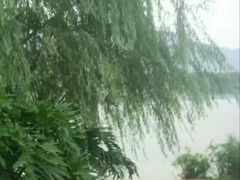 -飞来湖湿地公园