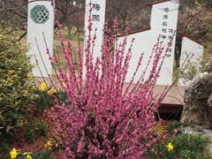 -无锡梅园公园