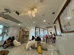 -共舞时光猫咖·狗咖(新街口店)