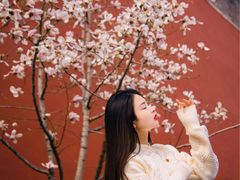 -东华门大街小区