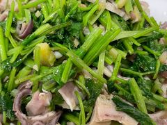 芫爆肚丝-红实家常菜(静安里店)