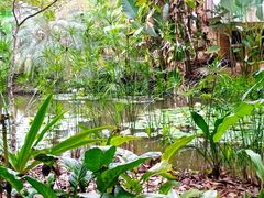 -中国科学院西双版纳热带植物园