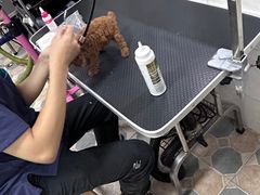 -乐琪宠物医院·犬猫专科·骨外科·急重症