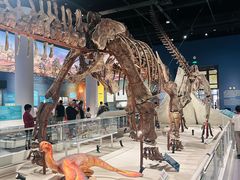 -国家自然博物馆