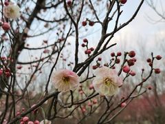 -蜀冈西峰生态公园