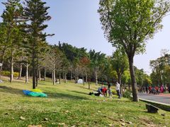 -牛岗山公园