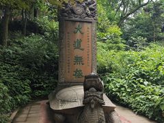 -青城山