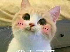 -冰泉豆浆馆(阳朔店)