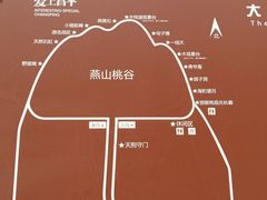 -大岭沟猕猴桃谷风景区