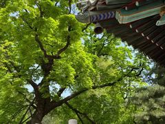 -潭柘寺景区