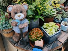 -双季花艺园艺市场(浦东店)