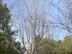 -四里河滨水生态公园