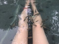 -咸宁万豪温泉谷度假区