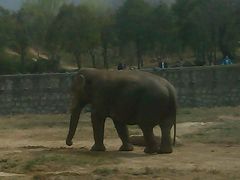 -西安秦岭野生动物园