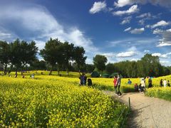 -长白岛森林公园