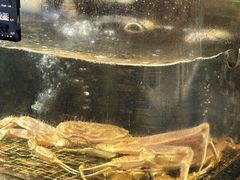 -海鲜e族(马王堆店)