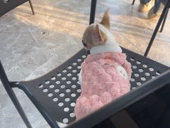 -阿福伯烧仙草(南滨大道店)