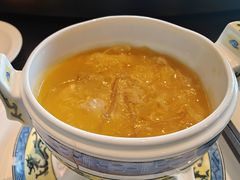 翰林鱼肚烩钩翅-北京饭店谭家菜